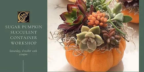Sugar Pumpkin Succulent Container Workshop