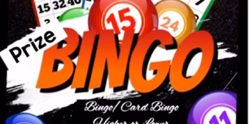 Bingo Night