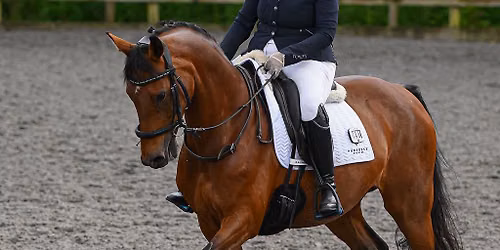 Flatwork\/Dressage Clinic