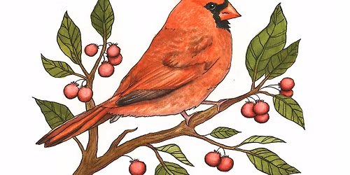 Jocelyn Noon Artist PopUp