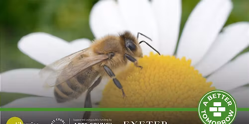 Futureproof Eco-Takeover