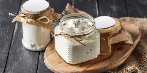 Fermented Foods & Specialty Probiotic Yogurts