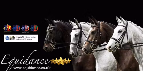 Equidance Dressage to Music Clinic 