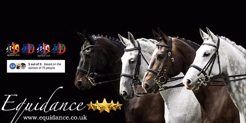 Equidance Dressage to Music Clinic