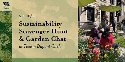 Sustainability Scavenger Hunt & Garden Chat at Teaism Dupont Circle