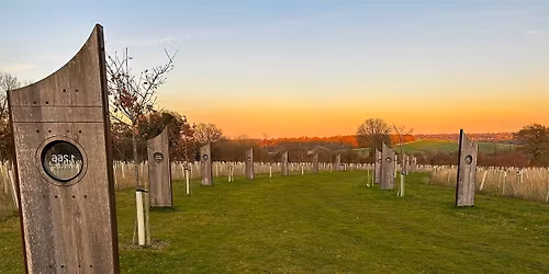 Sculptures at Langley Vale Wood - guided walk