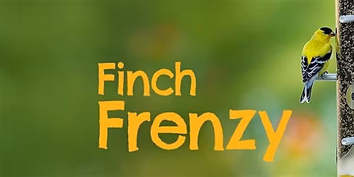 Finch Frenzy