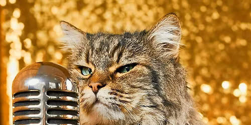 Holiday Karaoke Night at Art Freak Studio