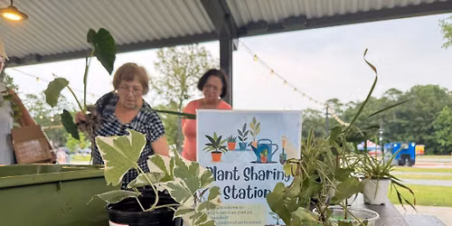 July Green Market at Millwood Station