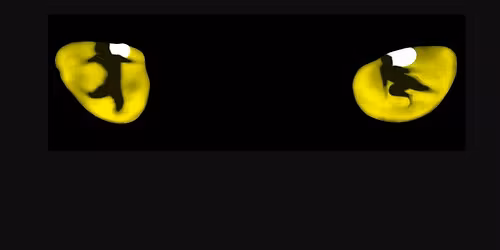 CATS | Let The Memory Live Again 2025 @ Hamer Hall Melbourne