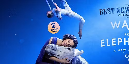 Water for Elephants - The Musical