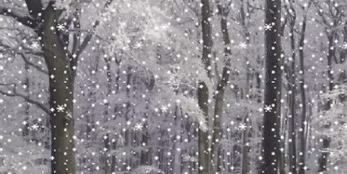 2026 FALLING SNOW