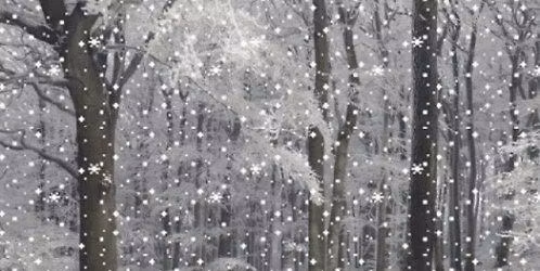 2026 FALLING SNOW