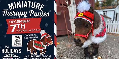 Miniature Therapy Ponies at the Greenhouses!