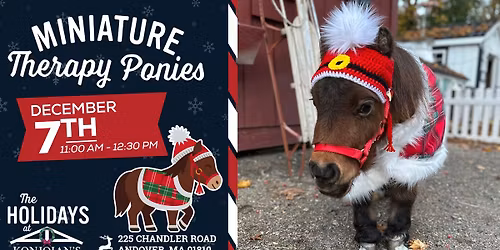 Miniature Therapy Ponies at the Greenhouses!