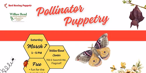 Pollinator Puppet Making Workshop