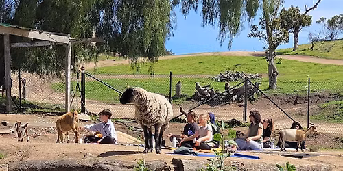 Splitrock Farm Youth Education: Fridays on the Farm