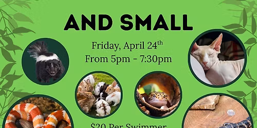 Creatures Great and Small