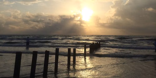 Reel Deal Fishing Charters Beach Clean - UP