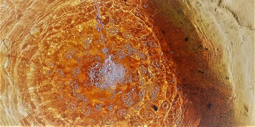 \u0160upl\u00edk listopad 2025