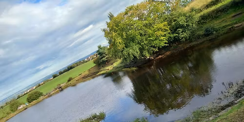 New Year Bait Comp!!!