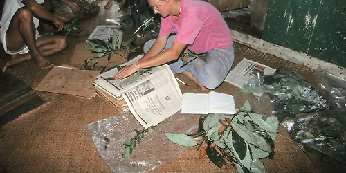 Verdens hemmelige ressourcer v\/etnobotaniker Hanne Christensen