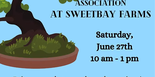 Bonsai Workshop at Sweetbay \ud83e\udeb4