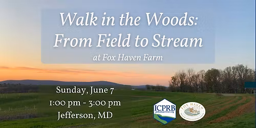 Walk in the Woods: From Field to Stream