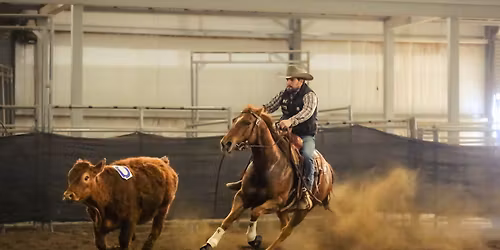 Cow Horse Clinic