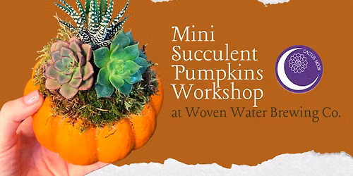 Succulent Pumpkins Workshop at Woven Water Brewing Co.