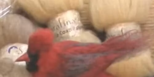 Cardinal Advanced Needle Felting Class $50