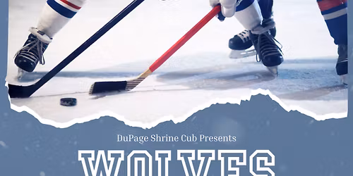 Chicago Wolves at Rockford IceHogs at BMO Center