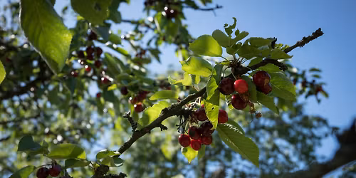 Krupsk\u00e9 t\u0159e\u0161\u0148obran\u00ed 2026