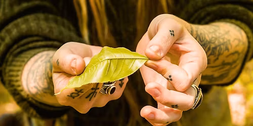 Keepers of the Sacred Brews-Mastery of Plant Medicine Making & Ceremony