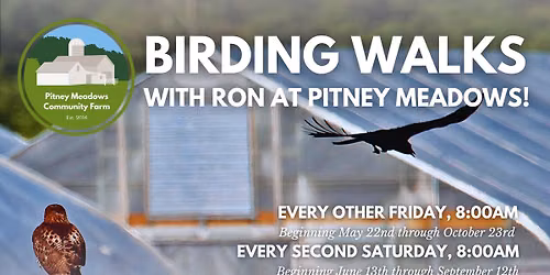 Birding Walks with Ron at Pitney Meadows! 