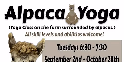 Alpaca Yoga *sold out*