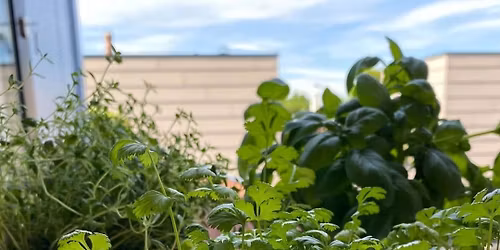 Medlemsm\u00f8te: Urter av Gunda Djupvik