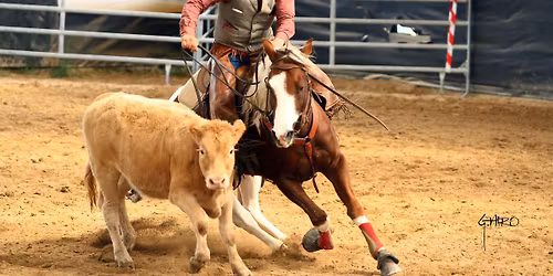 STAGE BETAIL AVEC NICOLAS DOUCET