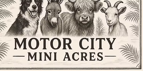 Christmas On The Farm