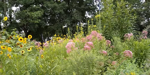 Bike Path Pollinator Garden 10th Anniversary Celebration