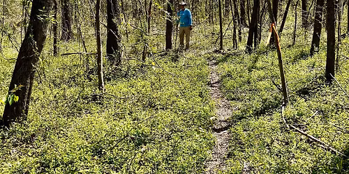 Let's Restore the Upper JJ Beeman Trail