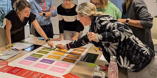 La Fresque des R\u00e9seaux Sociaux