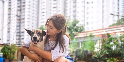 Herbal Animal Care