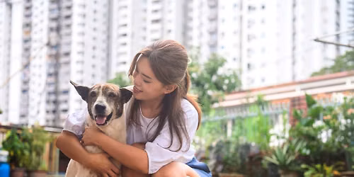 Herbal Animal Care
