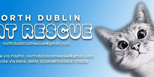 NORTH DUBLIN CAT RESCUE CHRISTMAS FAIR