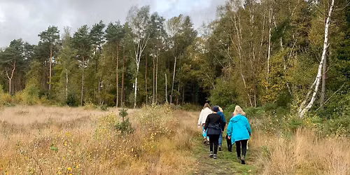 New Forest Pub Walk