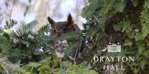 Bird and Nature Walk