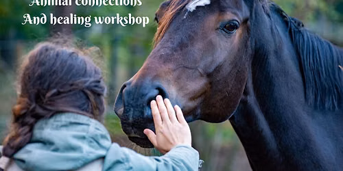 Animal connections and healing workshop