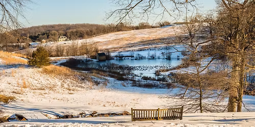 New Year\u2019s Day Hike