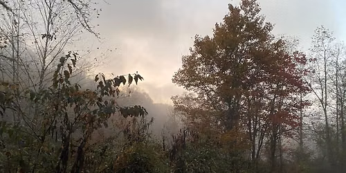 Halloween Hike